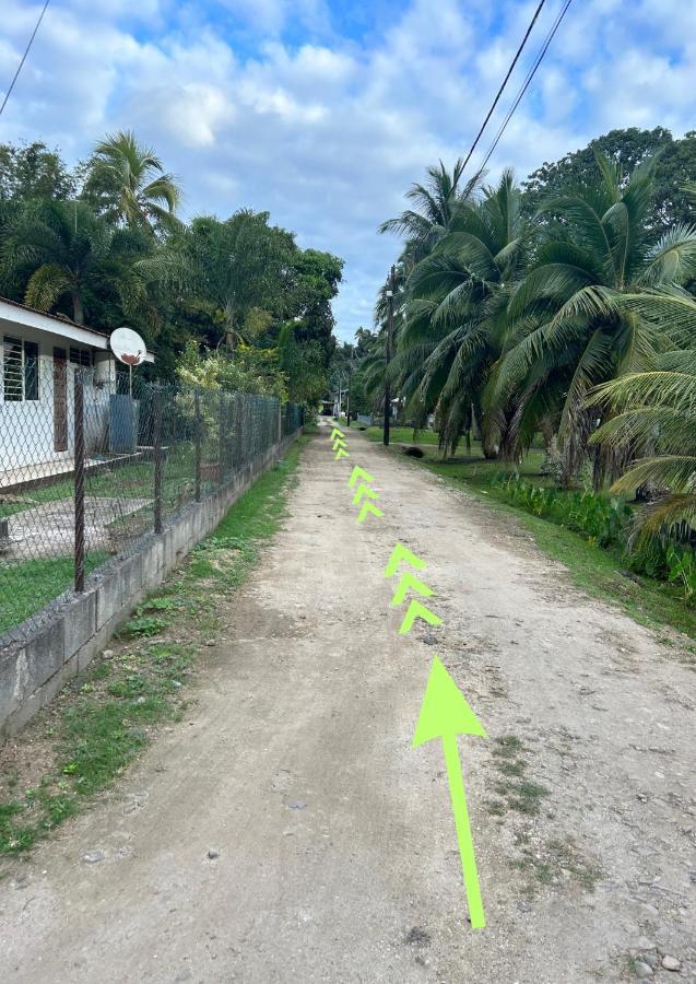 Mooz Lodge, The Local Discovery Afareaitu エクステリア 写真